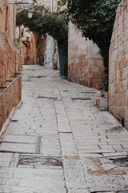 a stone street next to a tree line