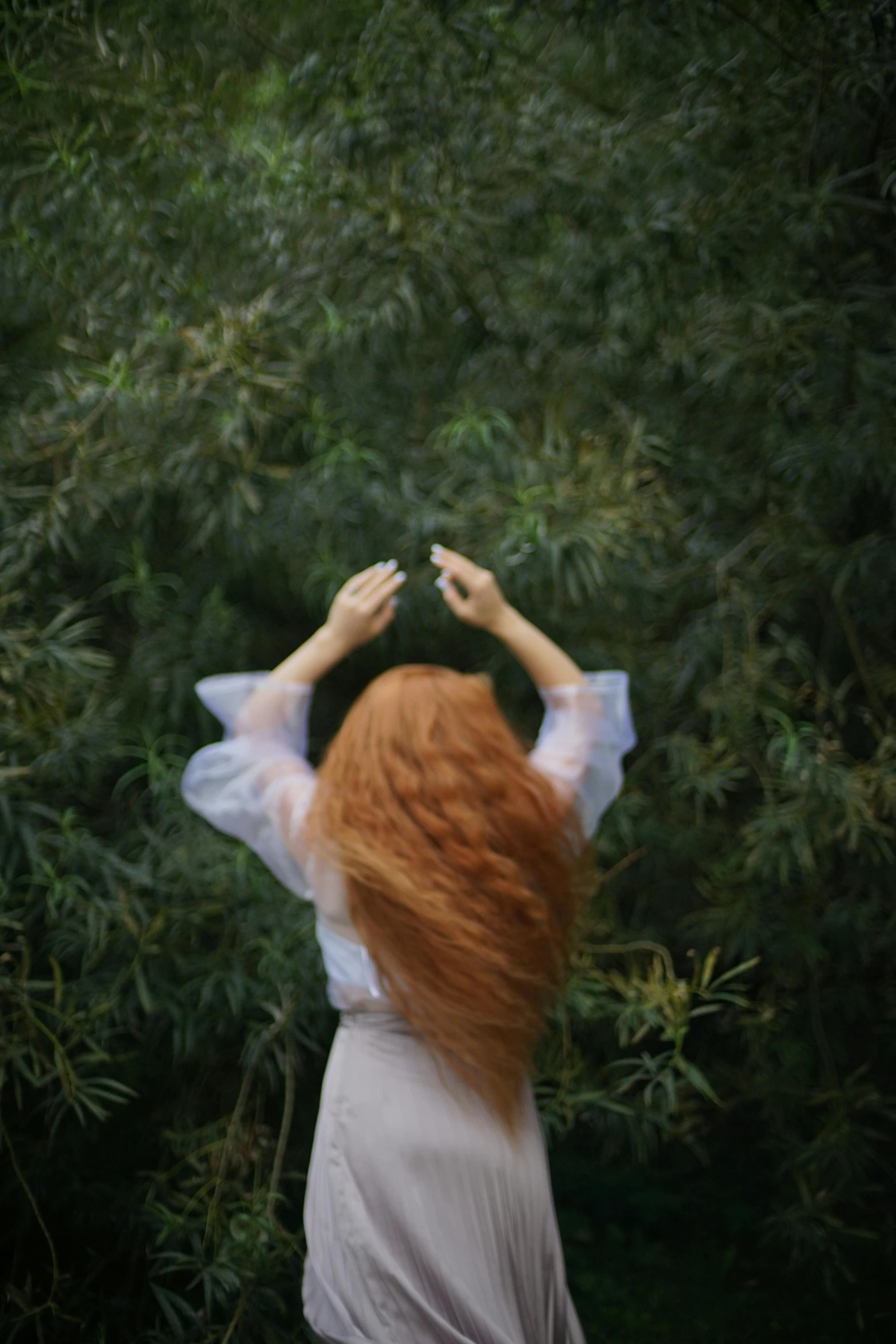 a woman with her back to the camera reaching up for leaves