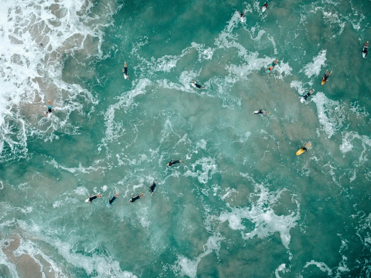 an overhead view of many people in the ocean, riding on surfboards