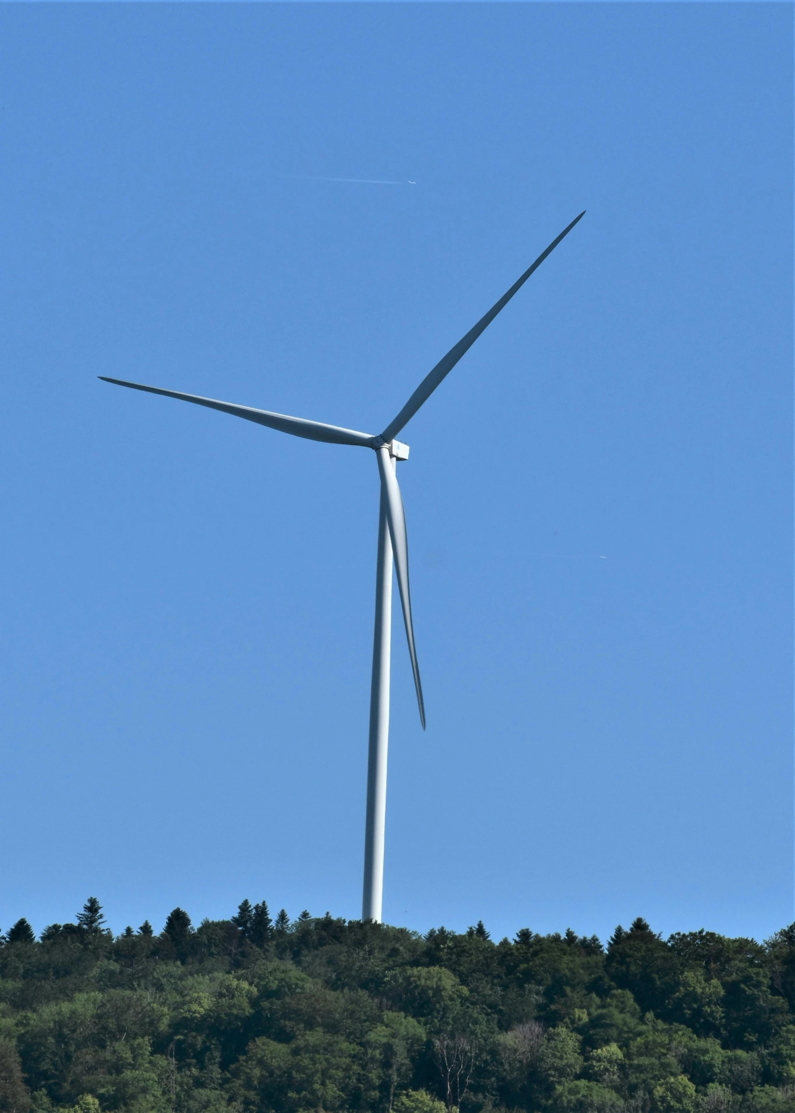 the wind is turning sideways, while a blue sky hovers above