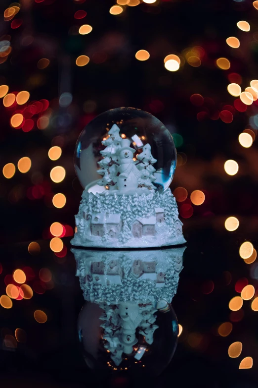 the snow globe is reflecting in the water