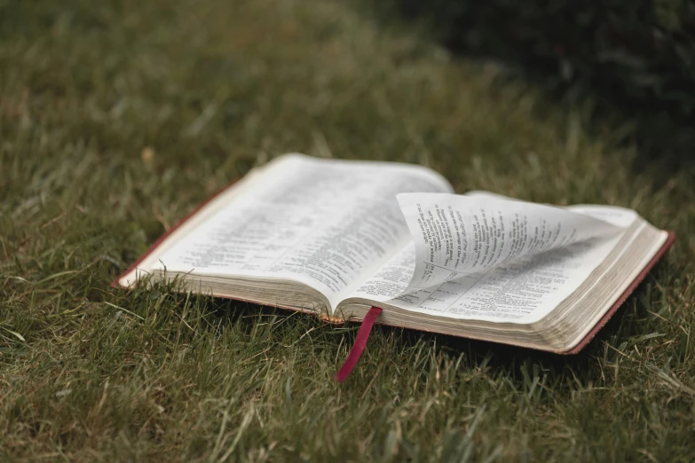 a open book on top of some green grass