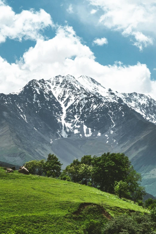 a snowy mountain sits in the distance on a sunny day