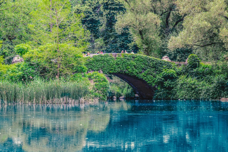 a bridge over some water surrounded by trees
