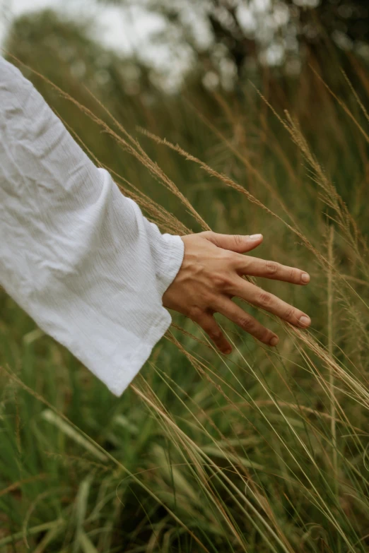 an image of person holding their hand in the tall grass