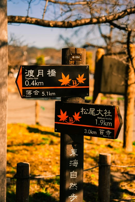 there are many signs posted on the post in different languages