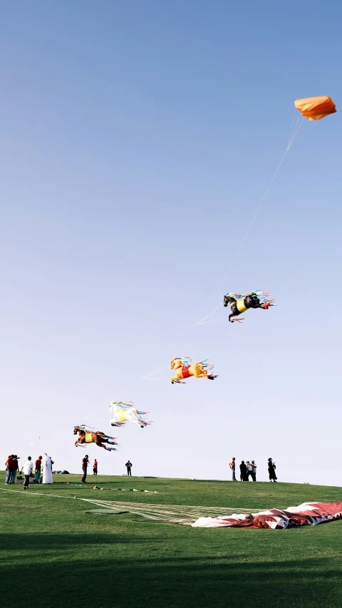 many people are flying kites in a field