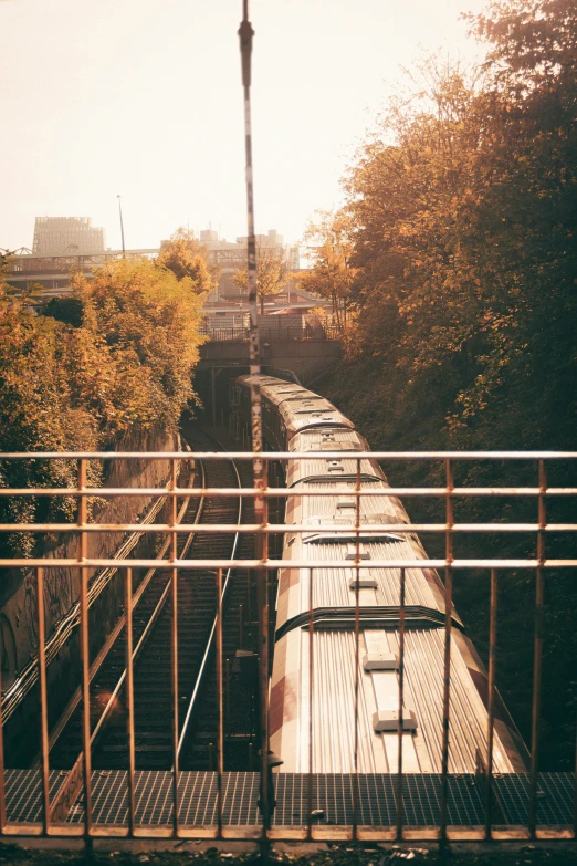 train tracks going over an iron railing above some trees