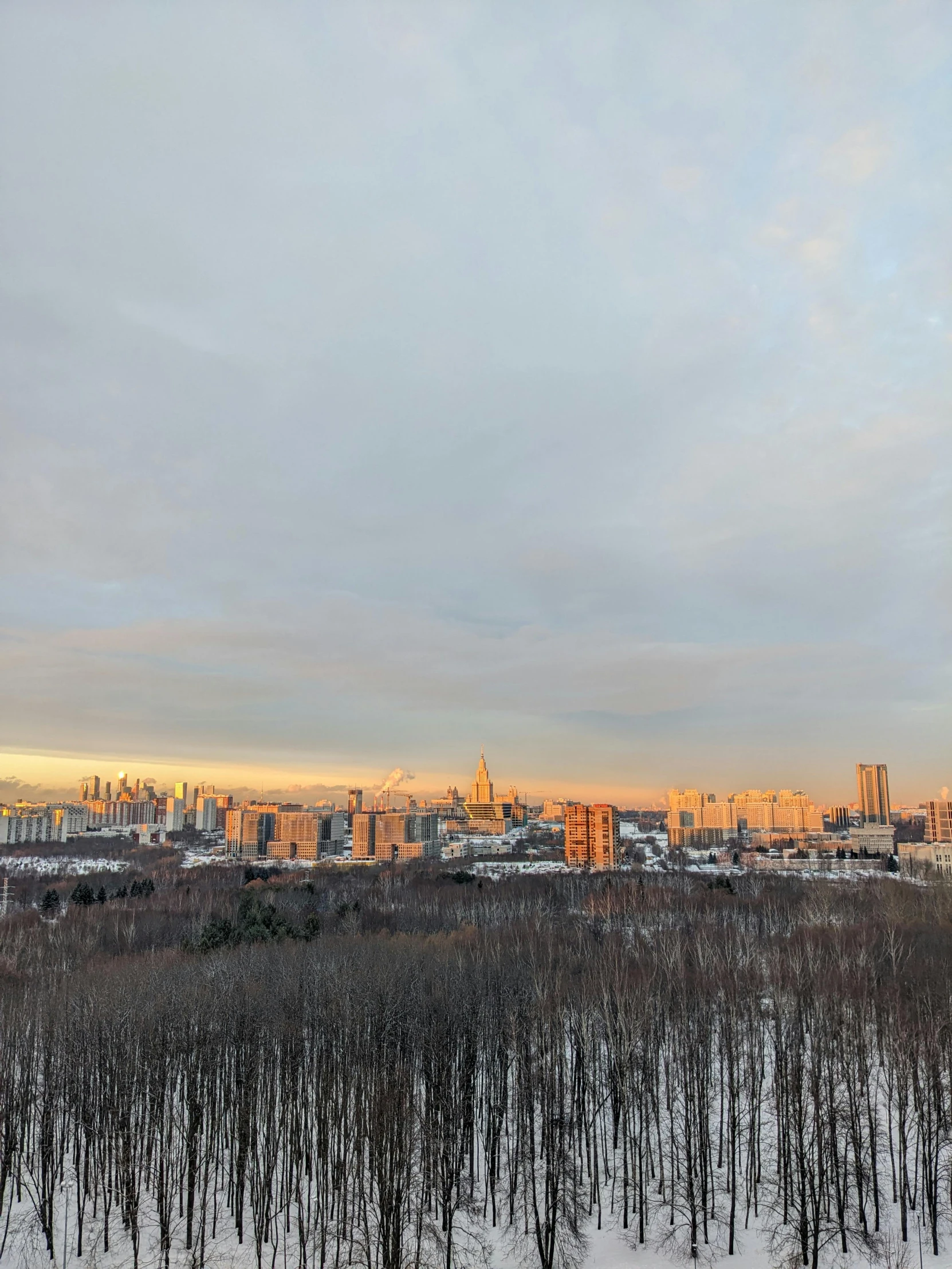 a city skyline sitting in the distance as seen from an area covered in snow