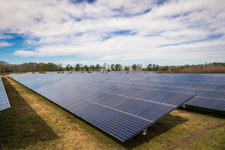 multiple rows of solar panels lined up in a field