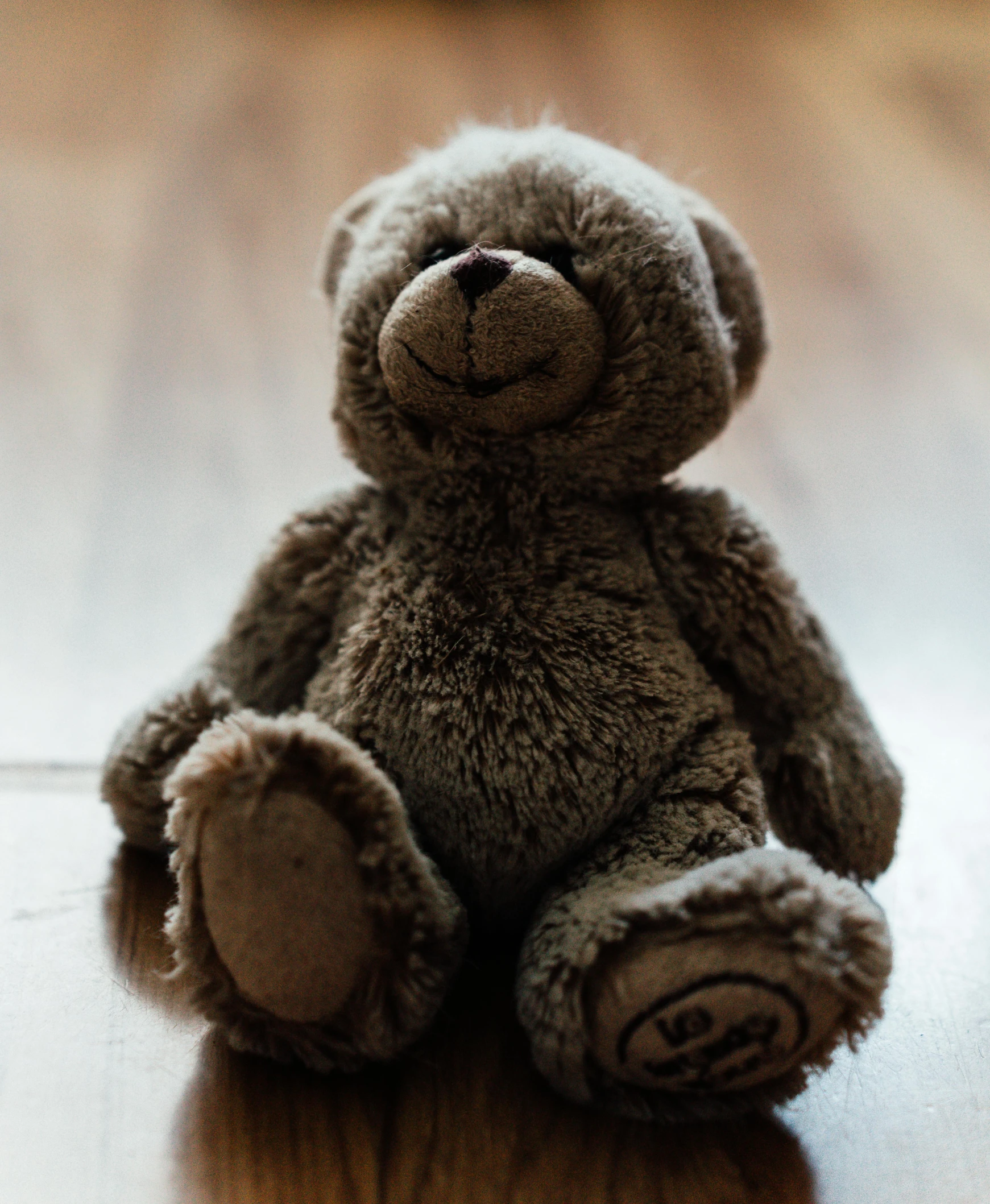 a small teddy bear sits in front of the camera