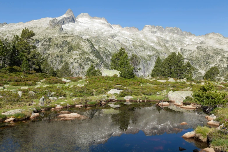 a mountain scene with reflection in a pool of water