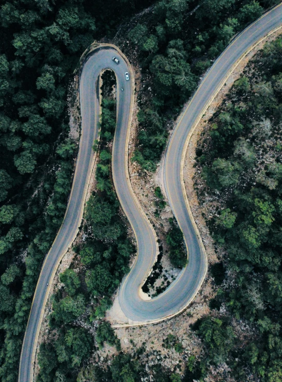 two winding roads run through an area with trees