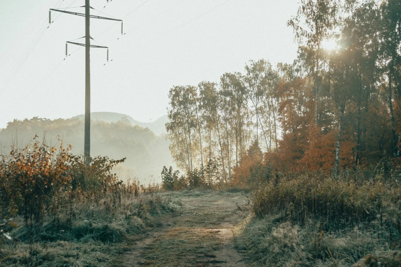 an old telephone pole in the middle of nowhere