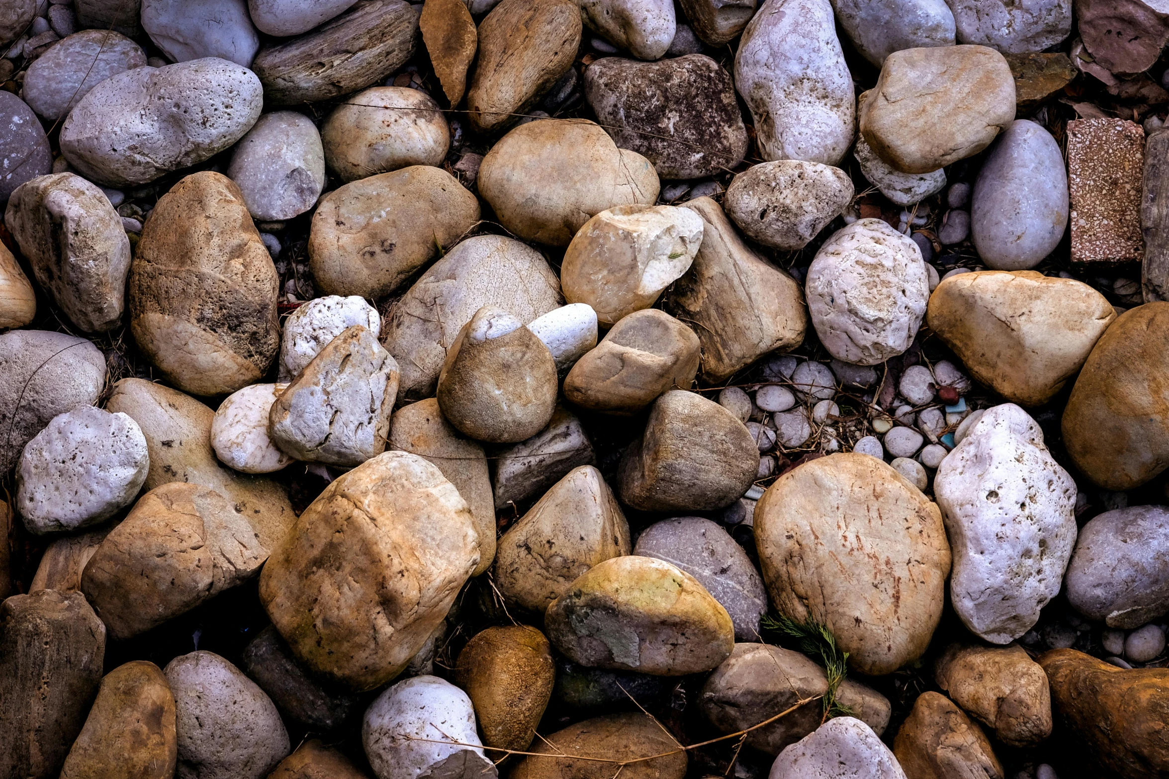 a group of rocks laying on top of each other