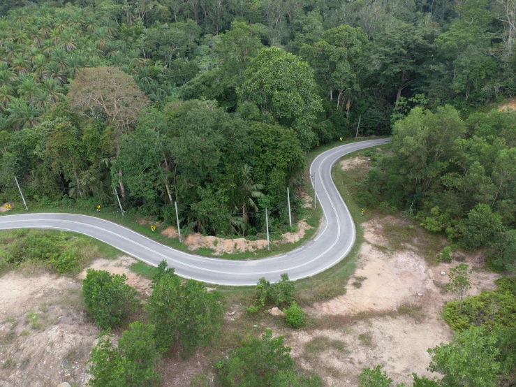 an aerial view of a road winding through a green forest