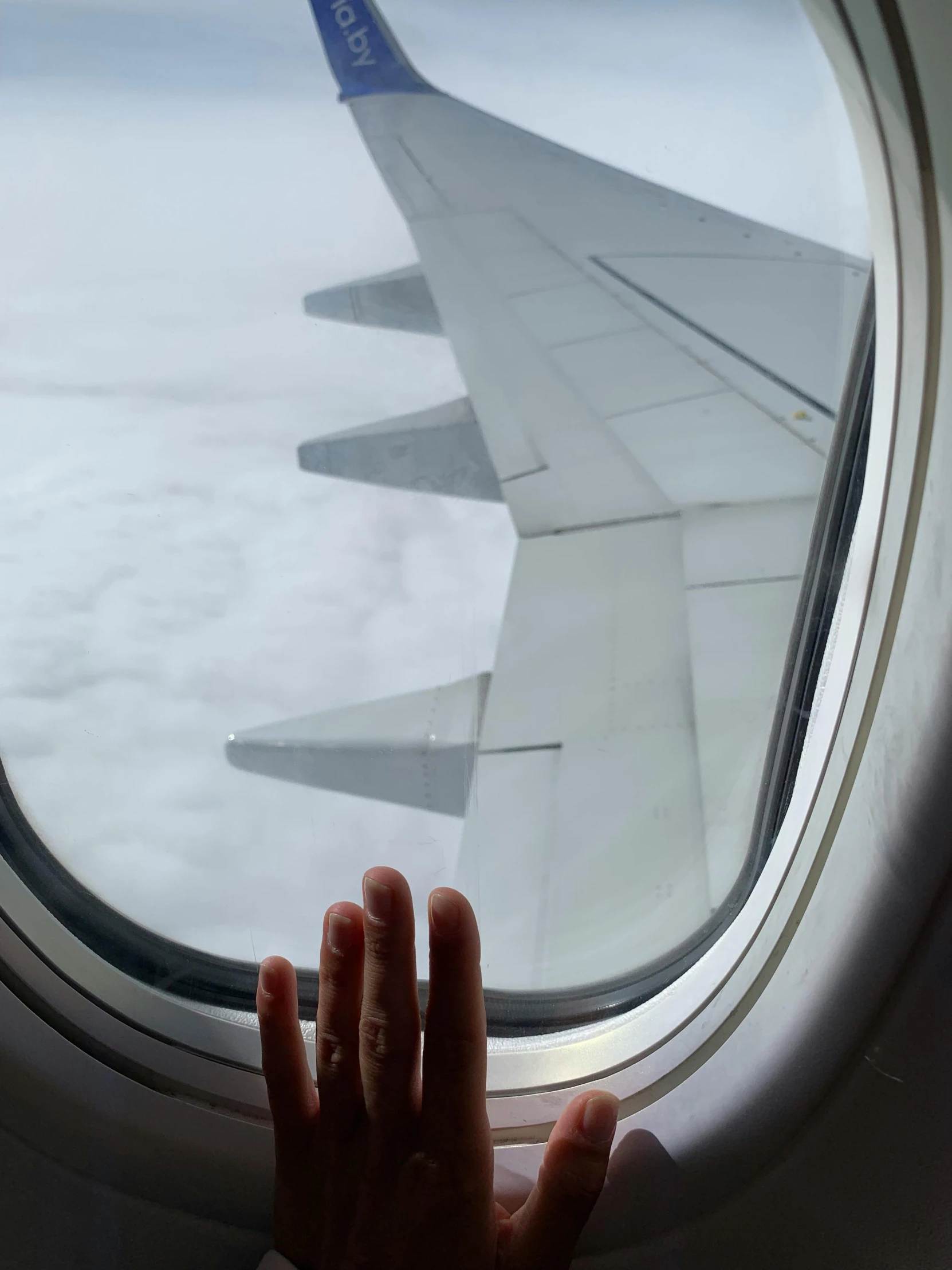 an image of a hand on the window