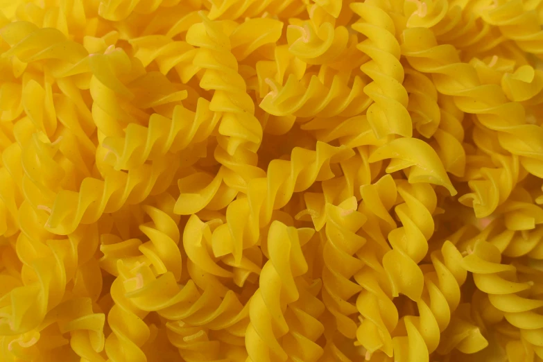 the yellow pasta texture is seen in close up