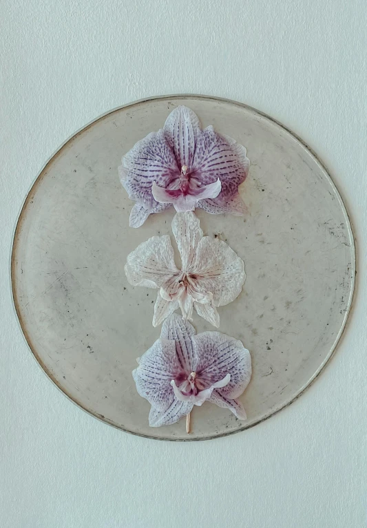 some purple flowers in a small white plate
