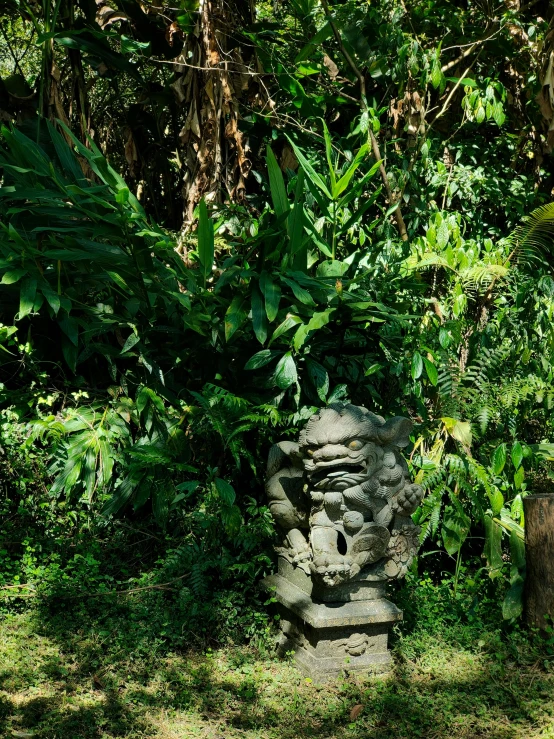 a bench in the jungle surrounded by many plants