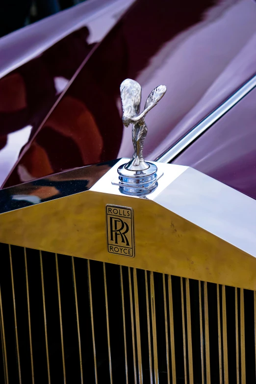 the hood emblem and grill of a purple car