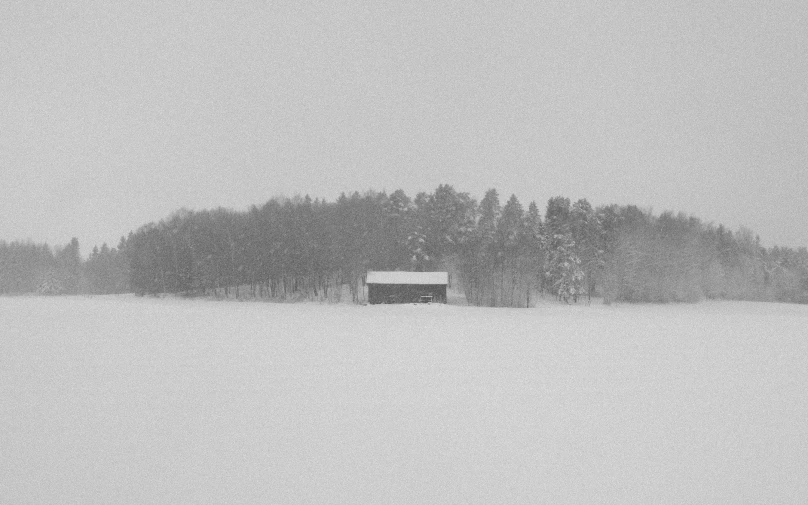 a black and white po with a house in the middle