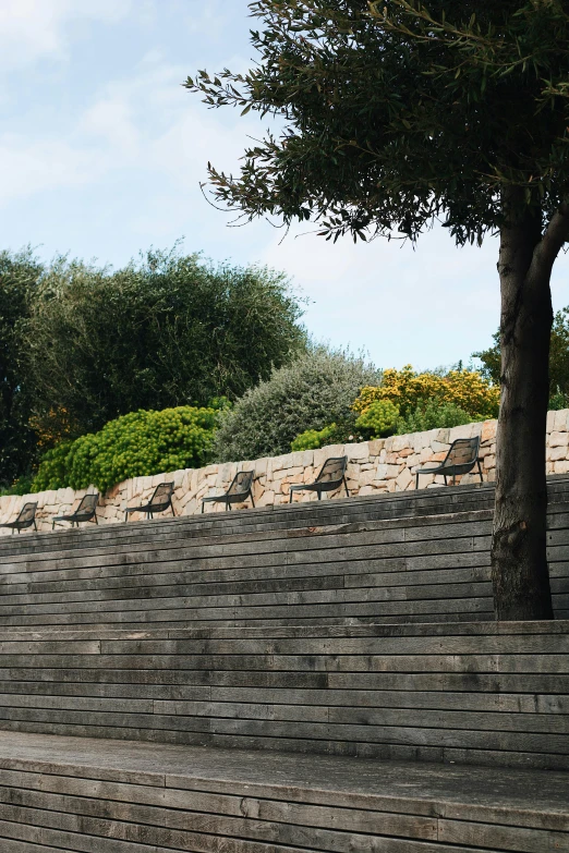 there is a tree on the side of some stairs