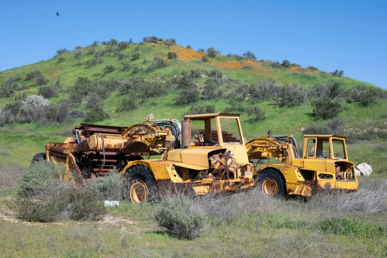 several yellow tractors in a field of grass and bushes