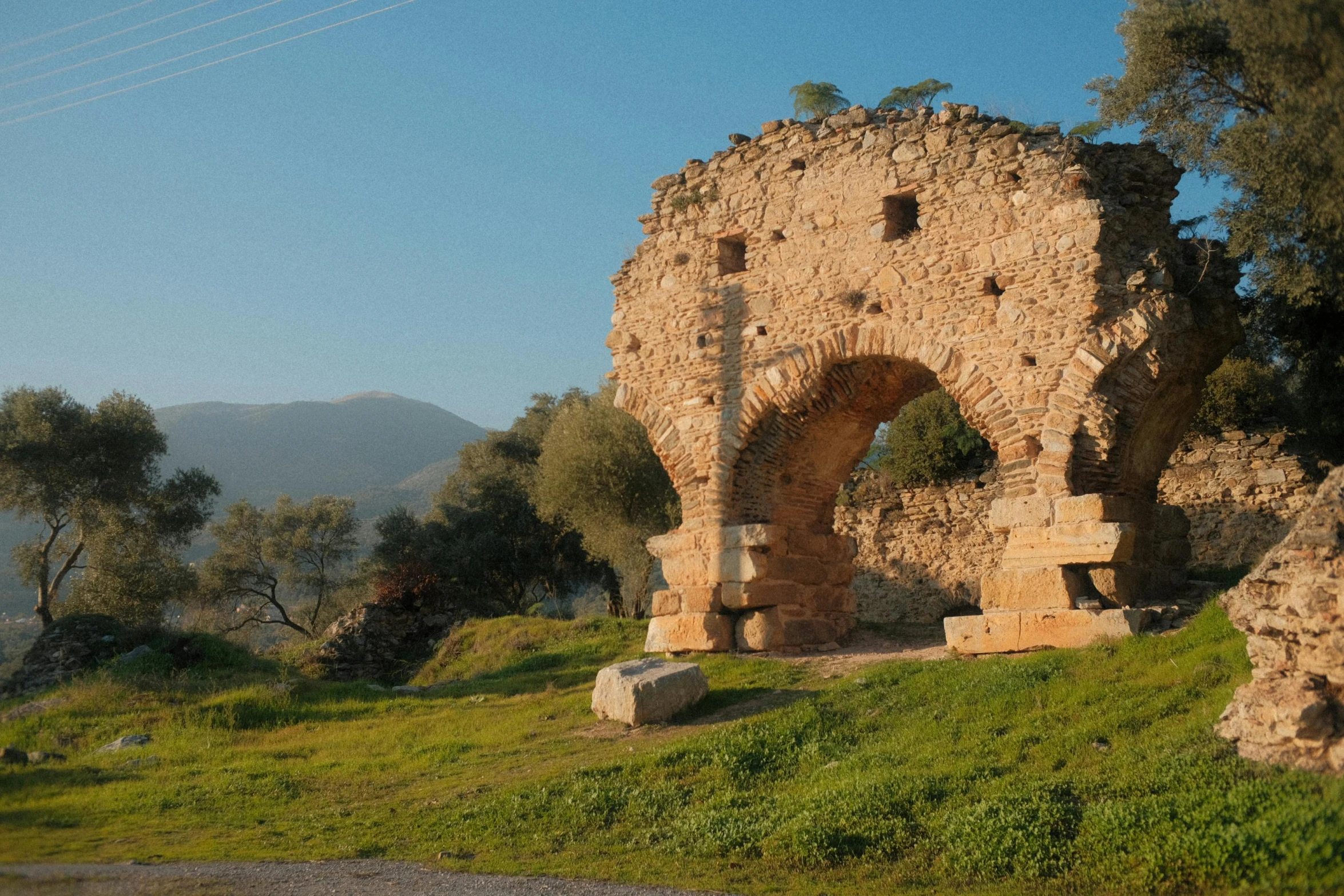 an arch sits near the grass and trees