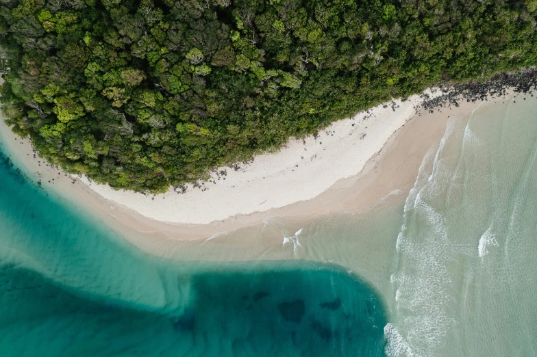 top view of an aerial po of the beach and tropical vegetation