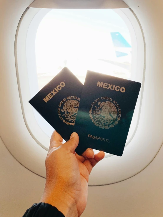 someone holding up their passport over an airplane window