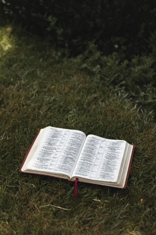 an open book lies in the grass on the ground