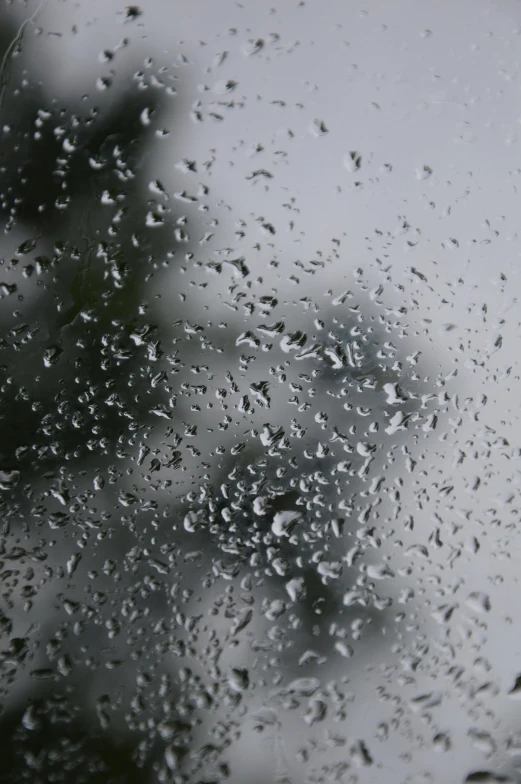 the view from inside of a rain covered windshield