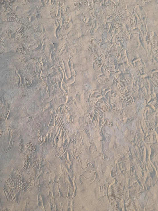 a sandy area with small circles of sand and an animal track