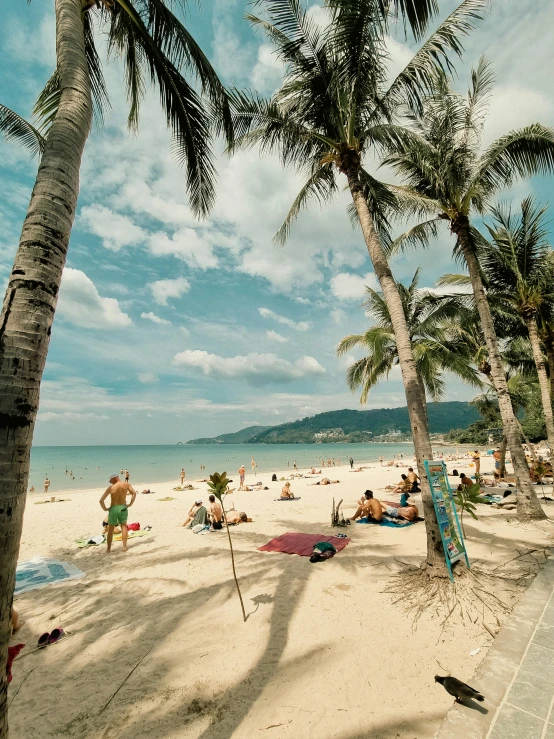 a beach with lots of people in it and a bunch of trees