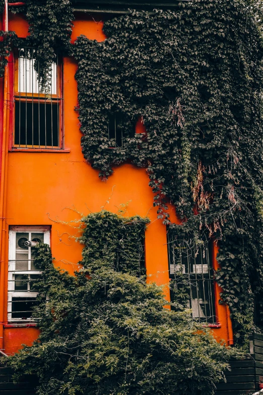a bright orange building covered in vines on the outside