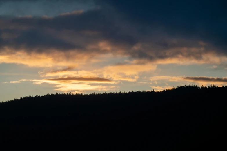 a lone tree on top of a hill at sunset