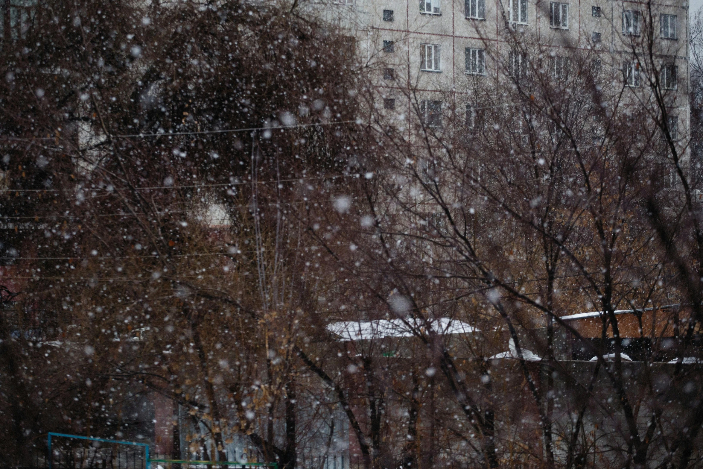 snow falls on trees and sidewalks as people walk past a building