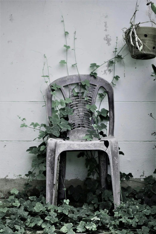 an empty chair by a white wall next to a bunch of plantlife