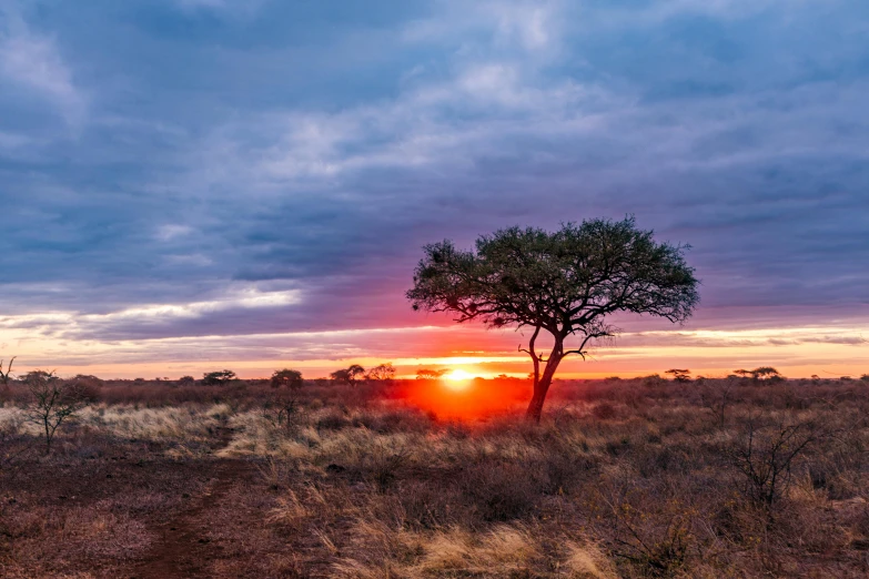 the sun setting in an empty, grassy field