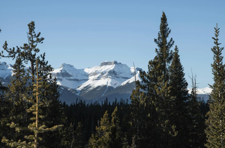 some mountains and trees that are not shown