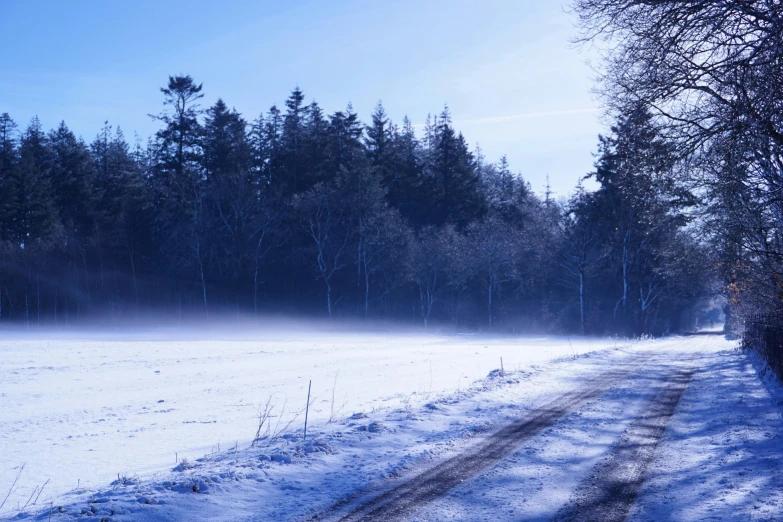 a snow covered field near a forest and road