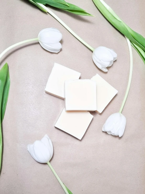 two petals and one piece of paper with white flower