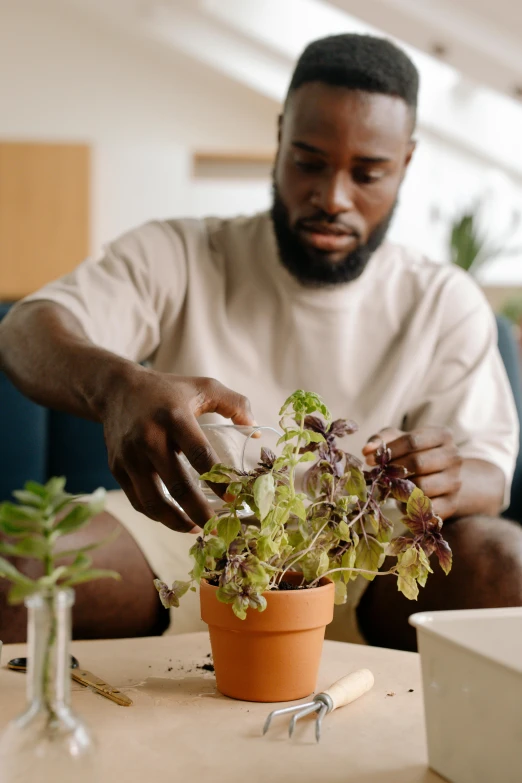 a man is fixing the stems on some plants