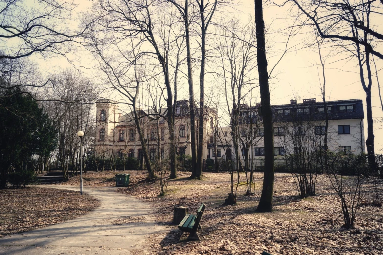 a pathway leads to two benches with bare trees