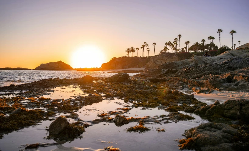 the sun setting over a rocky beach on a calm day