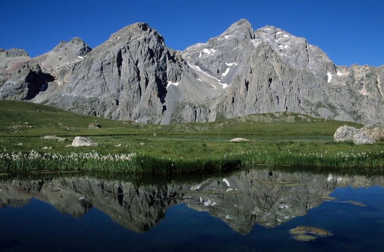 an alpine meadow reflected in the still water of the lake