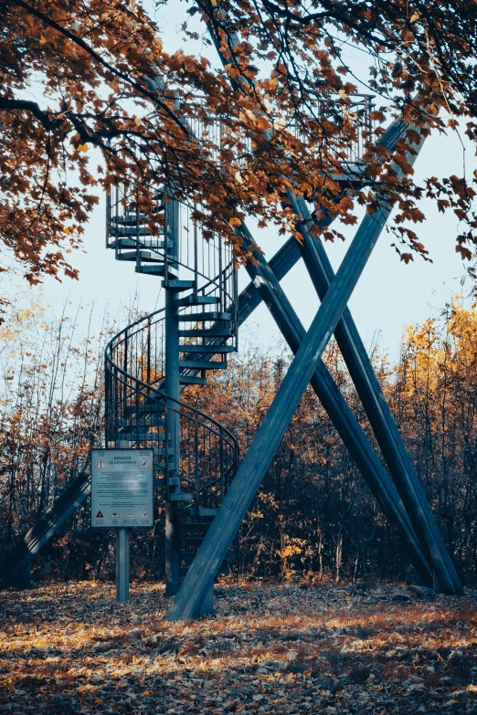 there is a spiral staircase in the tree next to the fire escape