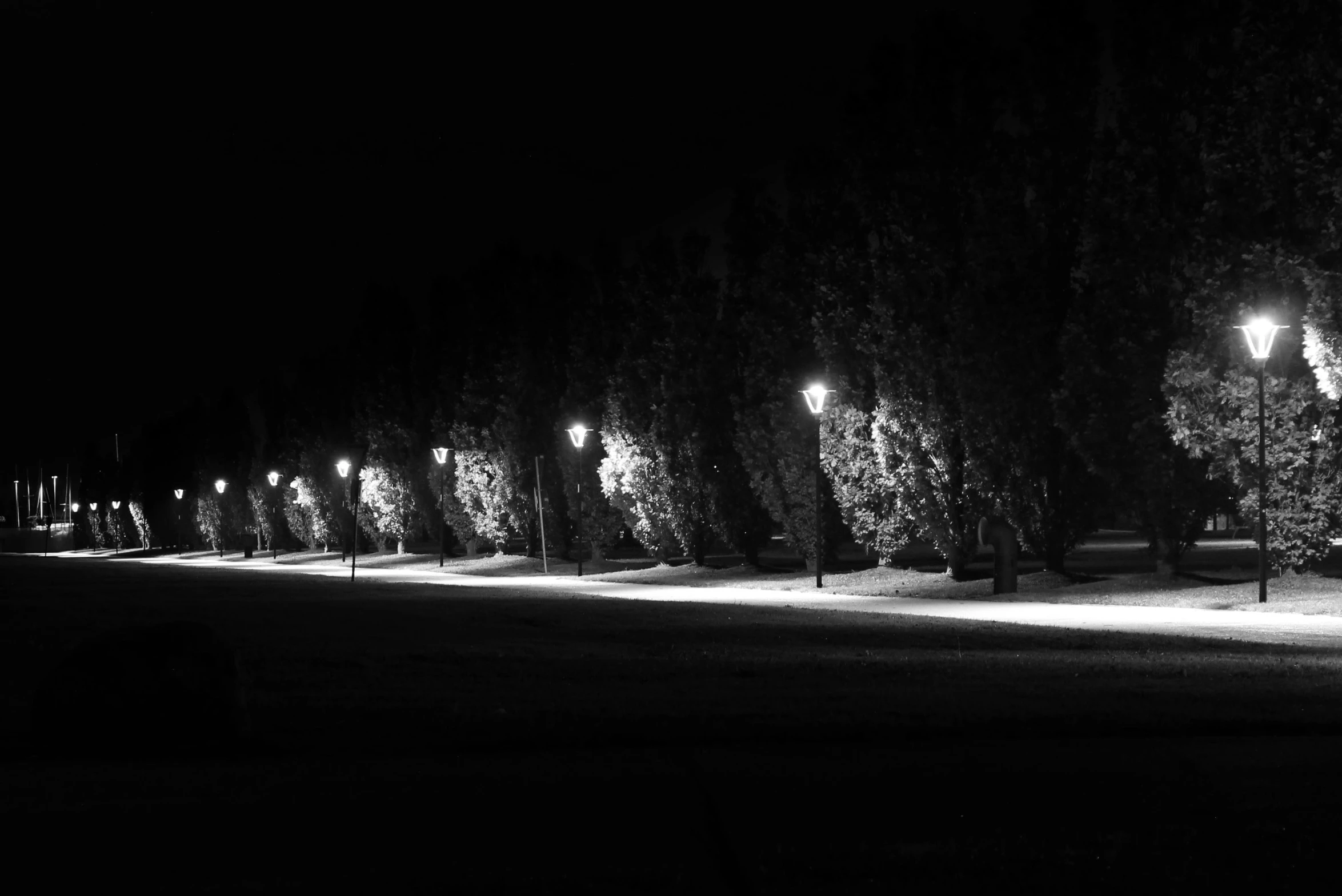 black and white po of street lights in the dark