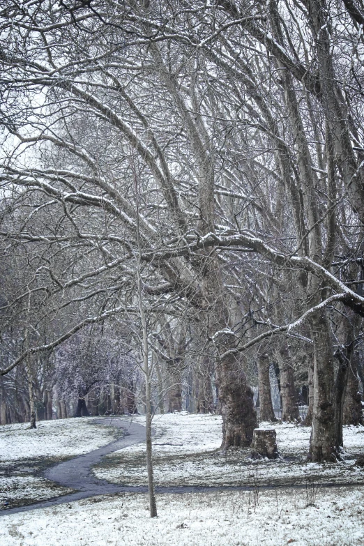 a park bench covered in snow next to trees